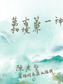 万古第一神等级和境界