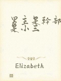 男主是干部女主是小三