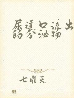 尿道口流出黄色的分泌物