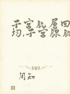 子宫肌层回声不均,子宫腺肌症可能