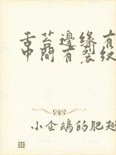 舌苔边缘有齿痕中间有裂纹