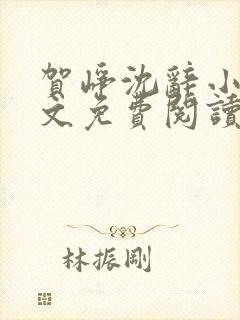 贺峥沈辞小说全文免费阅读无弹窗