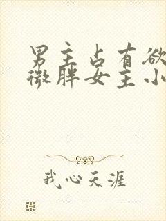 男主占有欲太强微胖女主小说