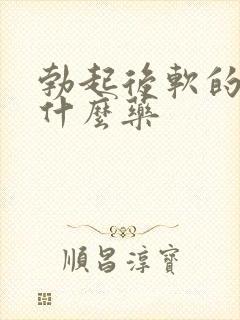 勃起后软的快吃什么药