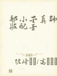 那小子真帅国语版配音