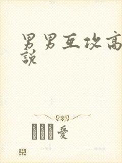 男男互攻高h小说