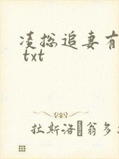 凌总追妻有点甜 txt