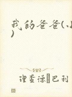 我的爸爸(小说)