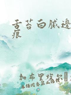 舌苔白腻边缘齿痕