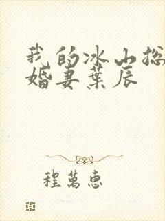 我的冰山总裁未婚妻叶辰