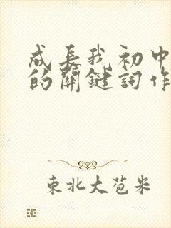 成长我初中生活的关键词作文800字