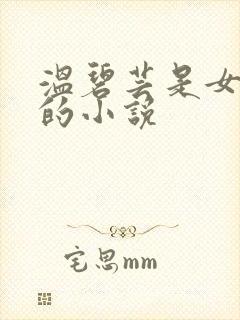 温碧芸是女主角的小说