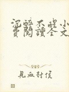 沉醉不醒小说免费阅读全文无弹窗