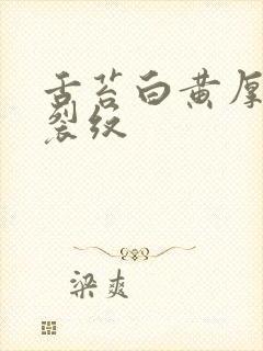 舌苔白黄厚腻有裂纹