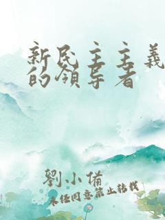 新民主主义革命的领导者