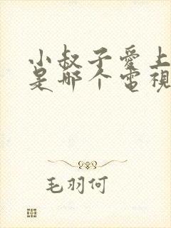 小叔子爱上嫂子是哪个电视剧