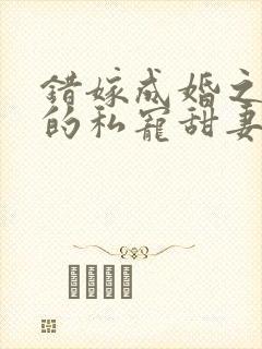 错嫁成婚之总裁的私宠甜妻在线阅读