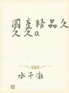 国产精品久久久久久a