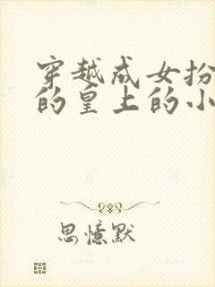 穿越成女扮男装的皇上的小说