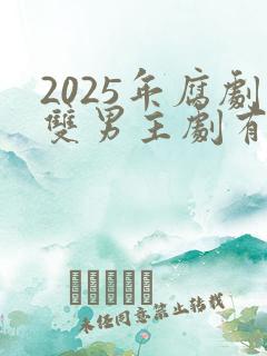 2025年腐剧双男主剧有哪些