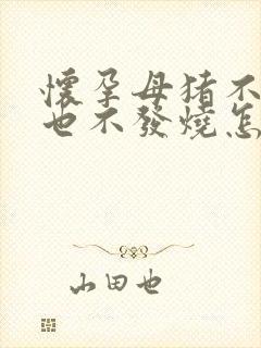 怀孕母猪不吃料也不发烧怎么办