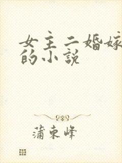 女主二婚嫁高干的小说