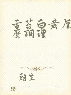 舌苔白黄厚腻怎么调理