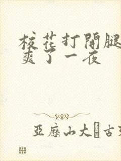 校花打开腿让我爽了一夜