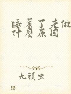 睡着了老做噩梦什么原因