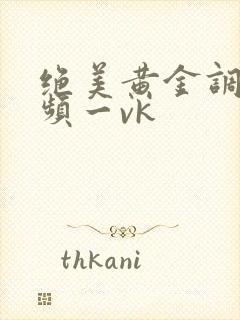 绝美黄金调教视频一vk