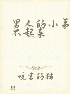 男人的小弟弟勃不起来