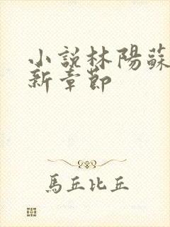 小说林阳苏颜最新章节