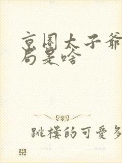 京圈太子爷大结局是啥