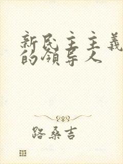 新民主主义革命的领导人