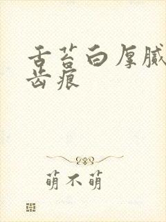 舌苔白厚腻 有齿痕