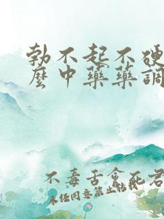 勃不起不硬吃什么中药药调理