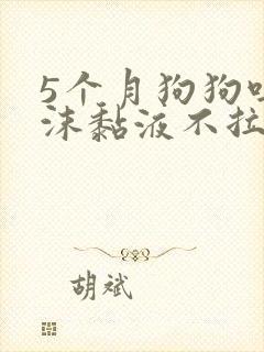 5个月狗狗吐白沫黏液不拉稀