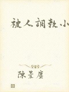 被人调教小说
