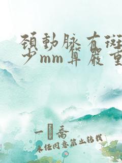 颈动脉有斑块多少mm算严重