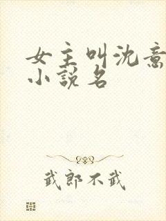 女主叫沈意欢的小说名