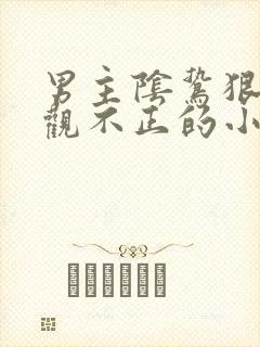 男主阴鸷狠戾三观不正的小说