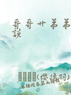 哥哥艹弟弟的小说