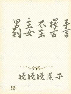 男主不择手段得到女主古言