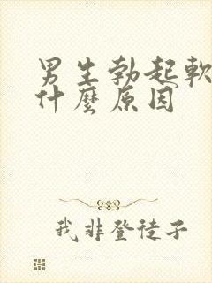 男生勃起软的快什么原因