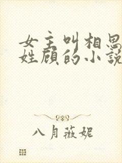 女主叫相思男主姓顾的小说