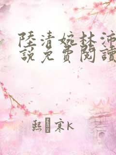 陆清婉林沛琛小说免费阅读最新章节