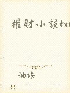 权财小说txt