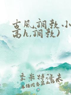 古风调教小说(高h,调教)