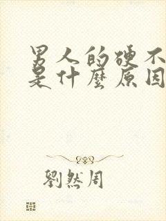 男人的硬不起来是什么原因