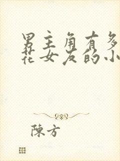 男主角有多个校花女友的小说